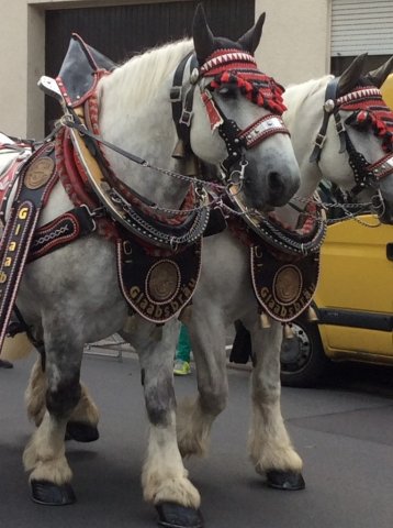 800 Jahre Weiskirchen Festzug